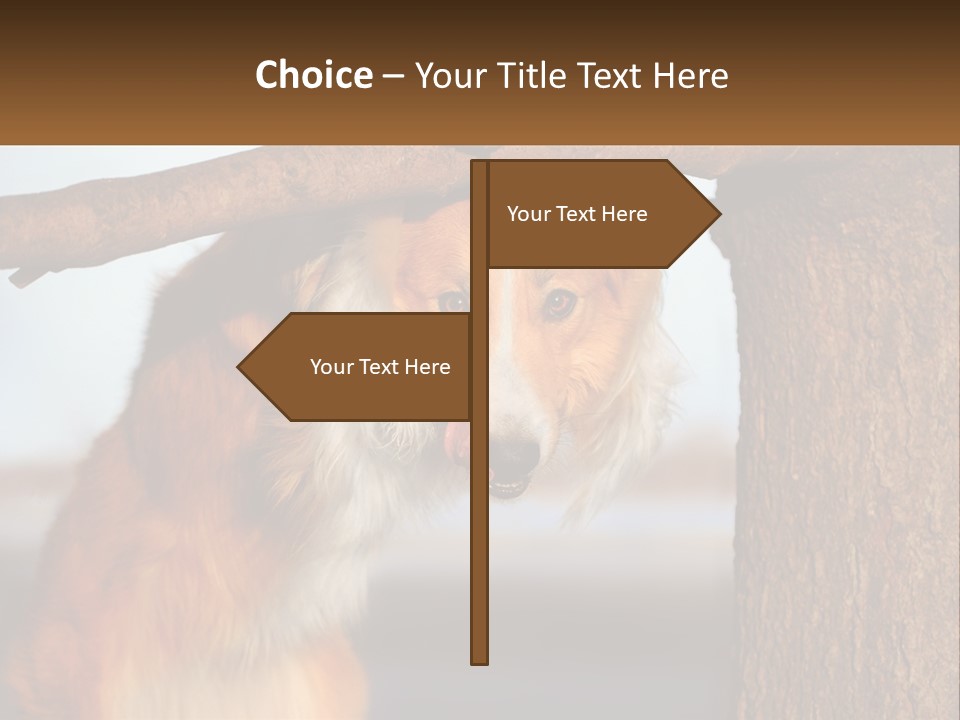 A Brown And White Dog With His Tongue Hanging Out Of A Tree PowerPoint Template