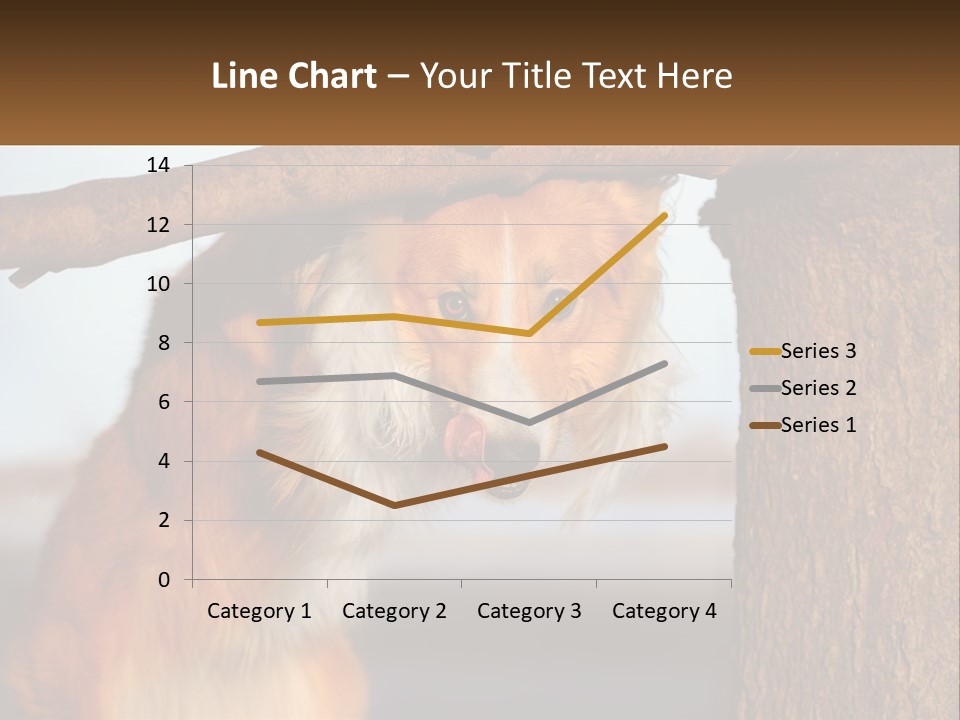 A Brown And White Dog With His Tongue Hanging Out Of A Tree PowerPoint Template