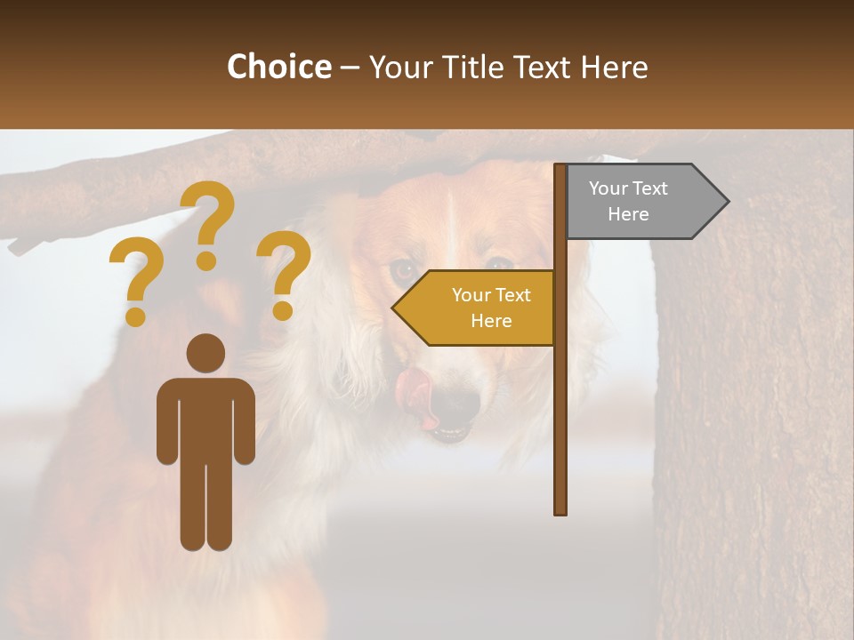 A Brown And White Dog With His Tongue Hanging Out Of A Tree PowerPoint Template