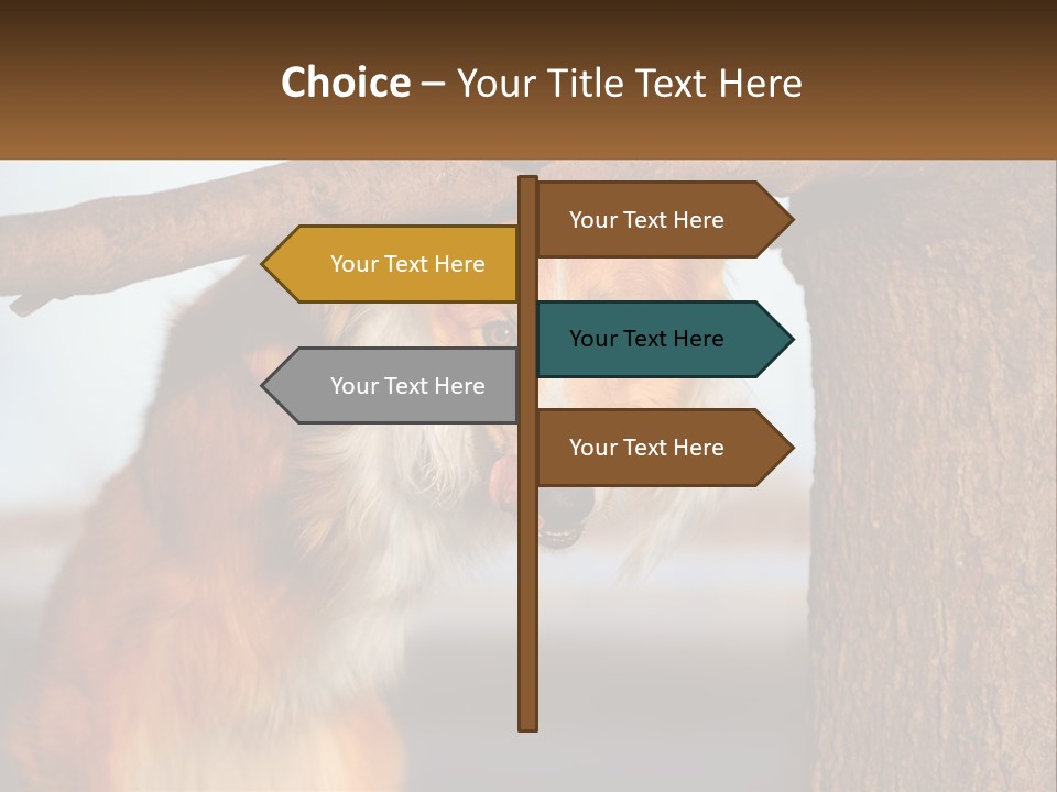 A Brown And White Dog With His Tongue Hanging Out Of A Tree PowerPoint Template