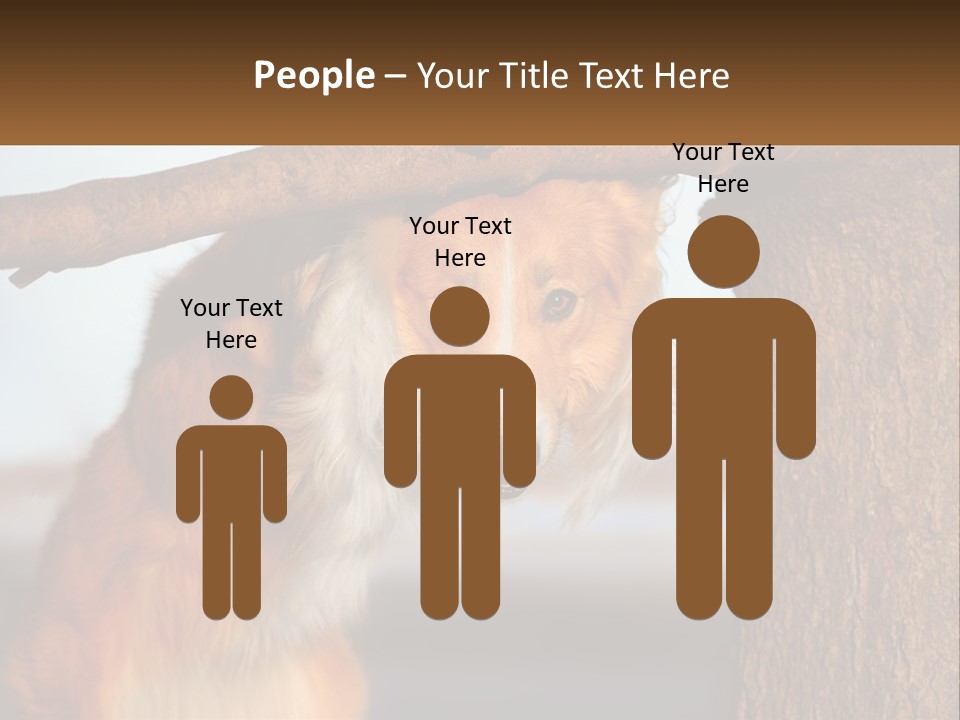 A Brown And White Dog With His Tongue Hanging Out Of A Tree PowerPoint Template