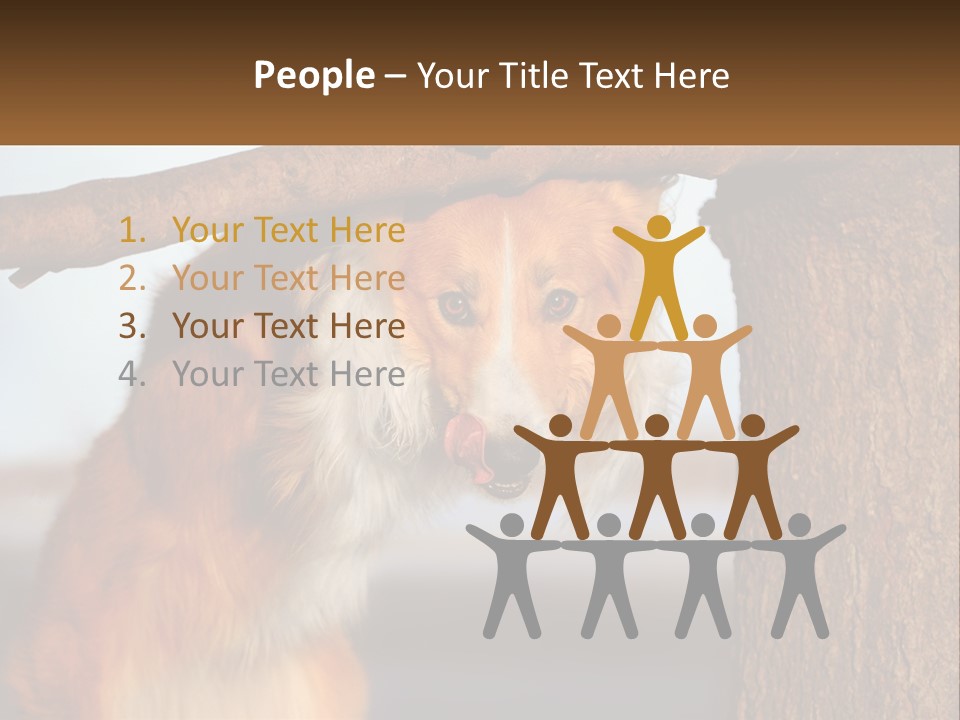A Brown And White Dog With His Tongue Hanging Out Of A Tree PowerPoint Template