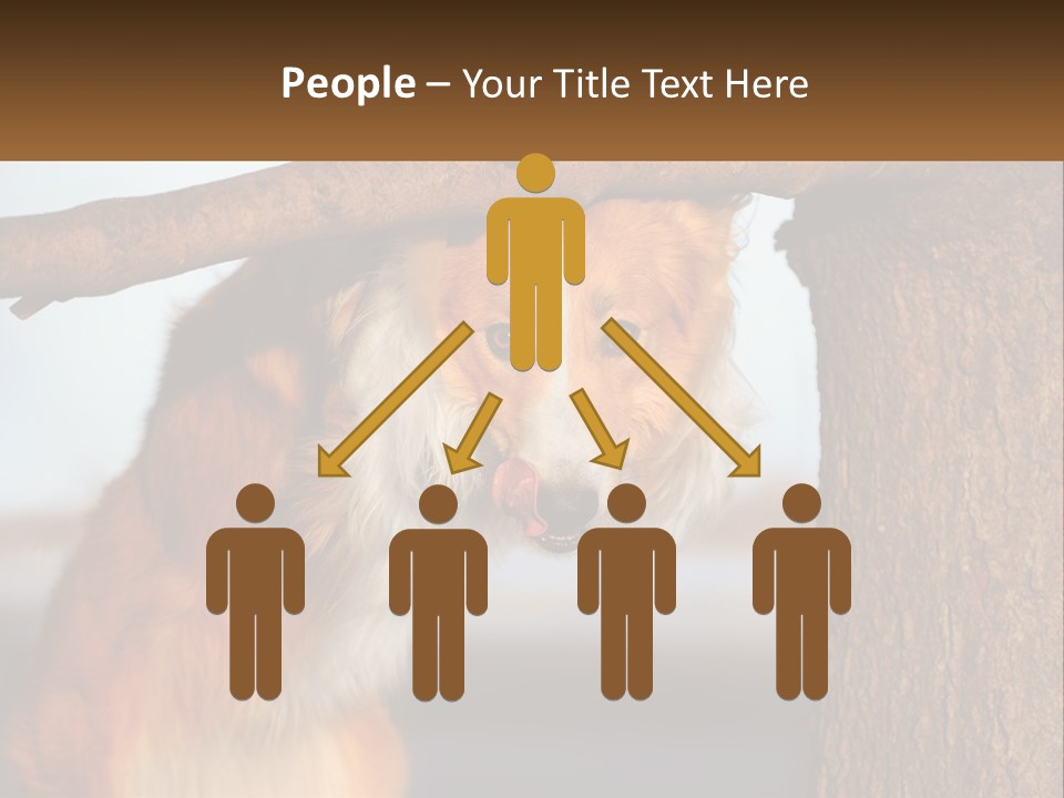 A Brown And White Dog With His Tongue Hanging Out Of A Tree PowerPoint Template