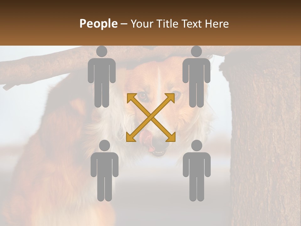 A Brown And White Dog With His Tongue Hanging Out Of A Tree PowerPoint Template