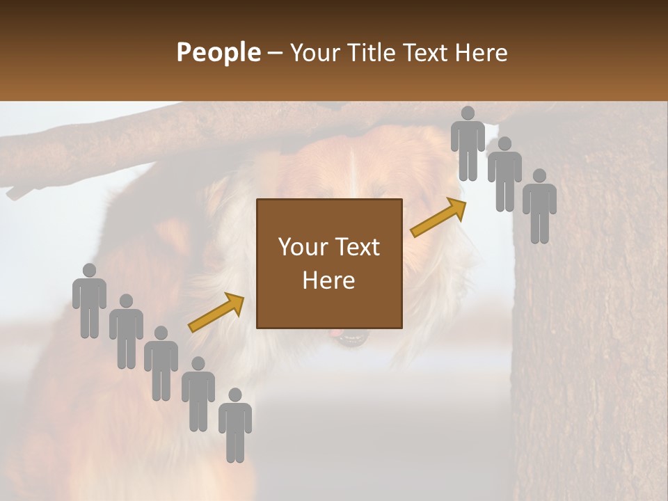 A Brown And White Dog With His Tongue Hanging Out Of A Tree PowerPoint Template