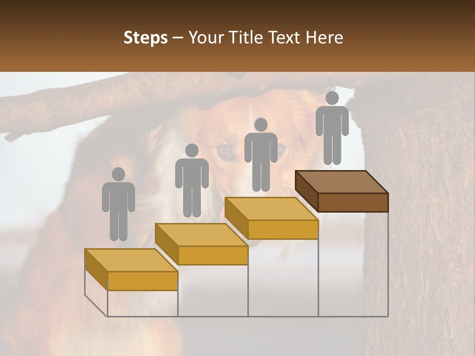 A Brown And White Dog With His Tongue Hanging Out Of A Tree PowerPoint Template