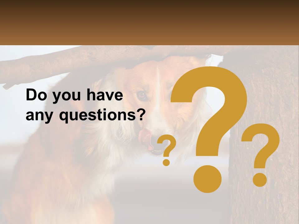 A Brown And White Dog With His Tongue Hanging Out Of A Tree PowerPoint Template