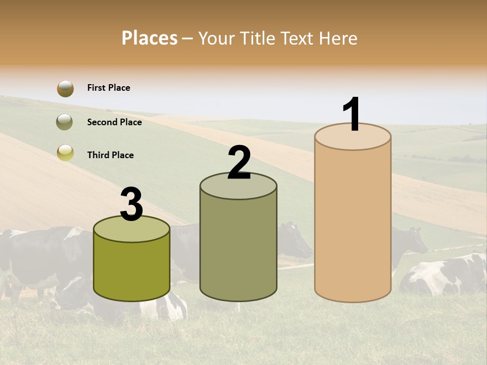 A Herd Of Cattle Grazing On A Lush Green Hillside PowerPoint Template