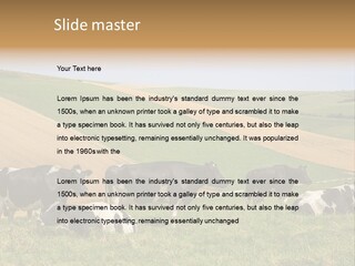 A Herd Of Cattle Grazing On A Lush Green Hillside PowerPoint Template