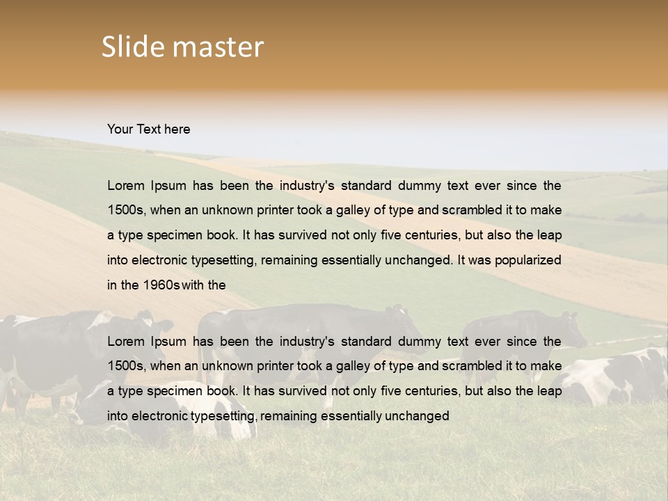 A Herd Of Cattle Grazing On A Lush Green Hillside PowerPoint Template