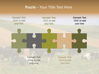 A Herd Of Cattle Grazing On A Lush Green Hillside PowerPoint Template