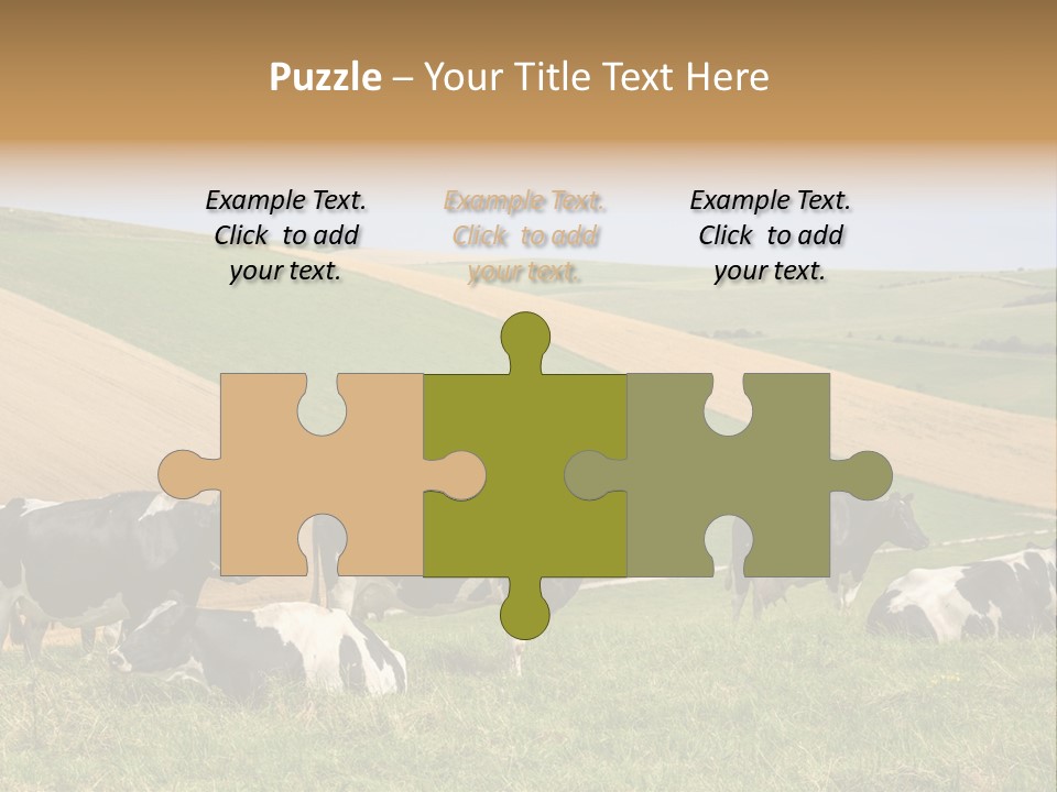 A Herd Of Cattle Grazing On A Lush Green Hillside PowerPoint Template