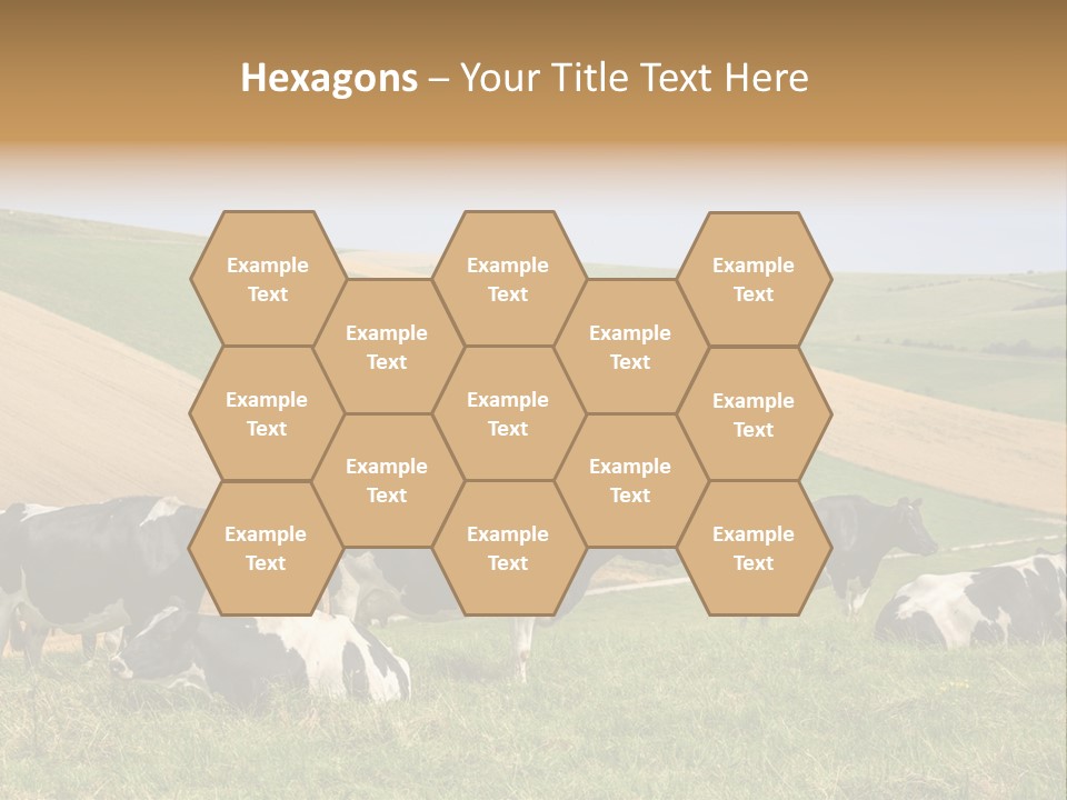 A Herd Of Cattle Grazing On A Lush Green Hillside PowerPoint Template