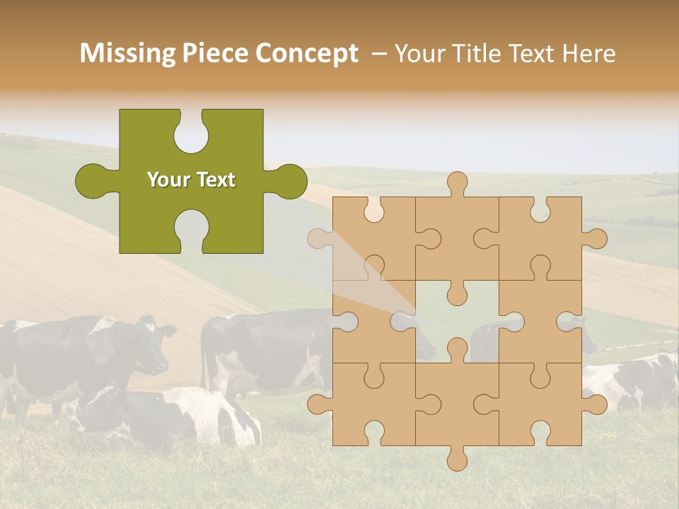 A Herd Of Cattle Grazing On A Lush Green Hillside PowerPoint Template