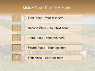 A Herd Of Cattle Grazing On A Lush Green Hillside PowerPoint Template