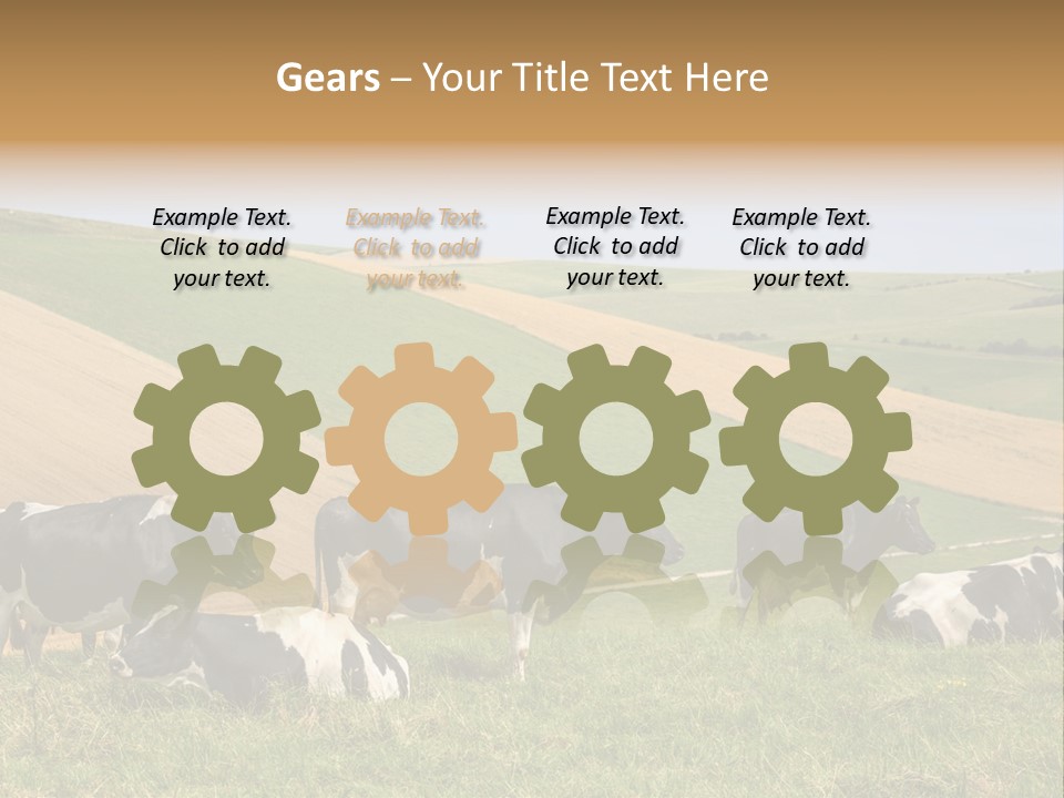 A Herd Of Cattle Grazing On A Lush Green Hillside PowerPoint Template
