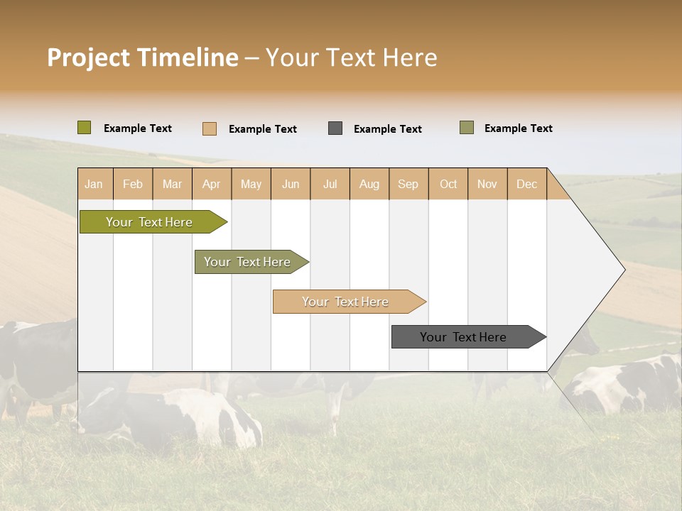 A Herd Of Cattle Grazing On A Lush Green Hillside PowerPoint Template