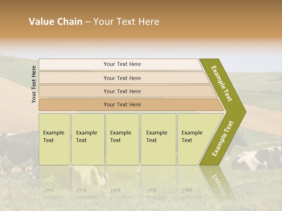 A Herd Of Cattle Grazing On A Lush Green Hillside PowerPoint Template