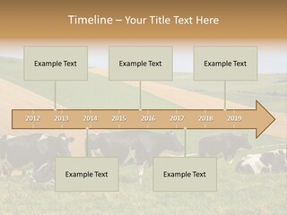 A Herd Of Cattle Grazing On A Lush Green Hillside PowerPoint Template