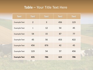 A Herd Of Cattle Grazing On A Lush Green Hillside PowerPoint Template