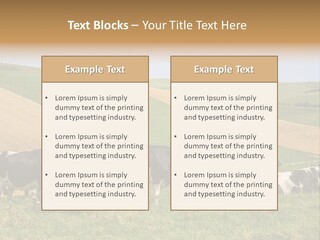 A Herd Of Cattle Grazing On A Lush Green Hillside PowerPoint Template