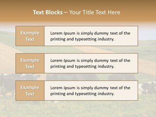 A Herd Of Cattle Grazing On A Lush Green Hillside PowerPoint Template