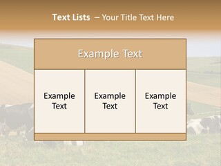 A Herd Of Cattle Grazing On A Lush Green Hillside PowerPoint Template