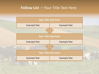 A Herd Of Cattle Grazing On A Lush Green Hillside PowerPoint Template