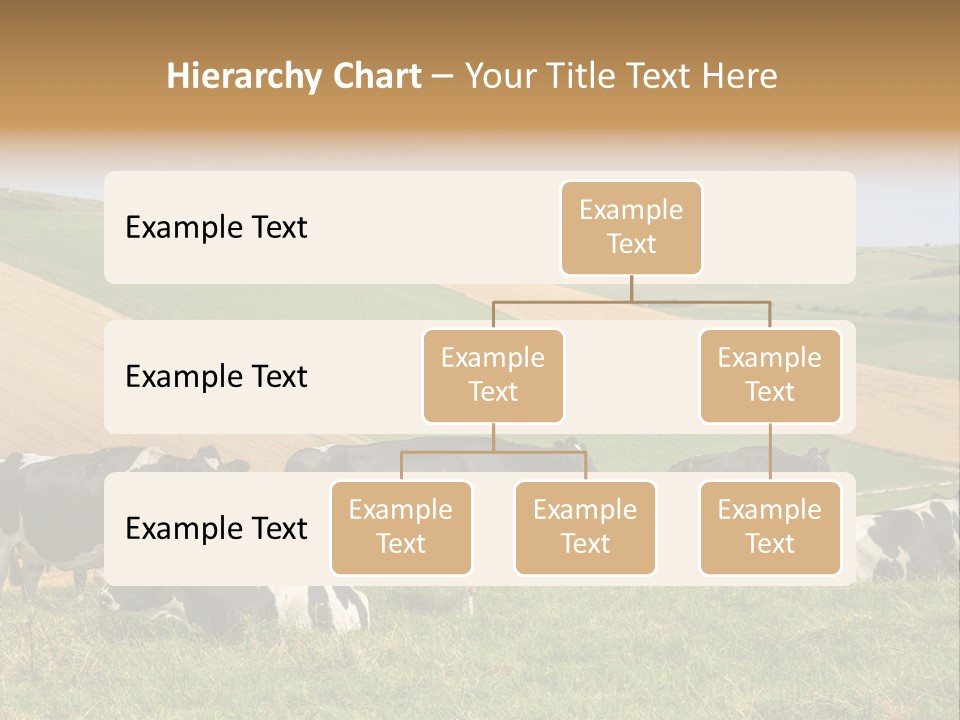 A Herd Of Cattle Grazing On A Lush Green Hillside PowerPoint Template