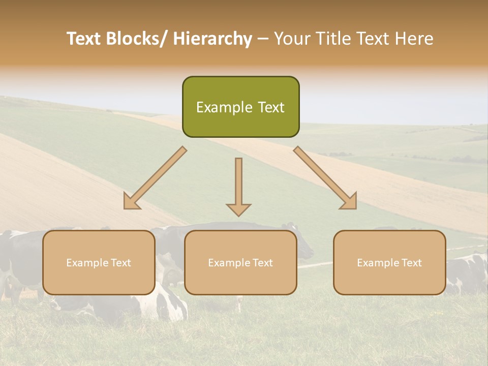 A Herd Of Cattle Grazing On A Lush Green Hillside PowerPoint Template