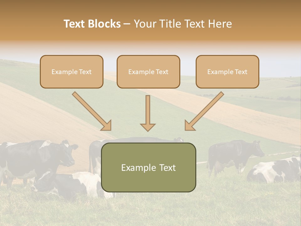 A Herd Of Cattle Grazing On A Lush Green Hillside PowerPoint Template