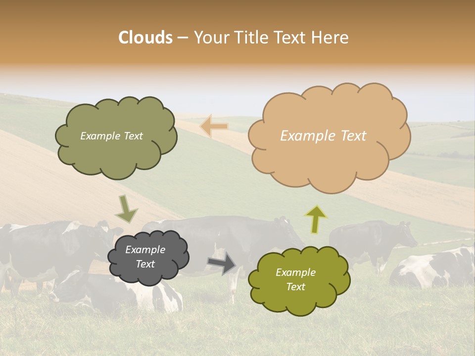 A Herd Of Cattle Grazing On A Lush Green Hillside PowerPoint Template