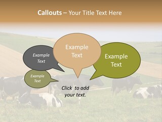 A Herd Of Cattle Grazing On A Lush Green Hillside PowerPoint Template
