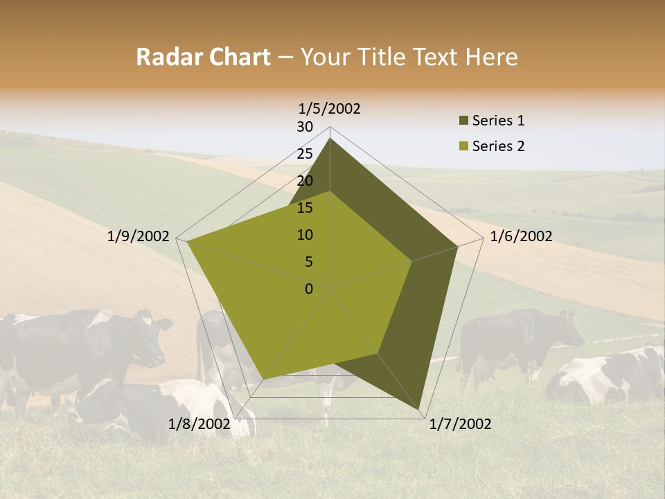 A Herd Of Cattle Grazing On A Lush Green Hillside PowerPoint Template