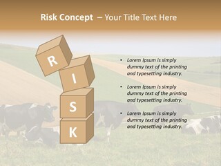 A Herd Of Cattle Grazing On A Lush Green Hillside PowerPoint Template