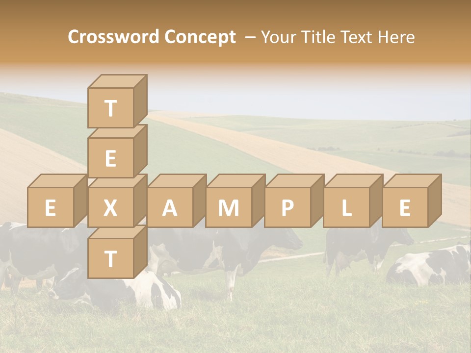 A Herd Of Cattle Grazing On A Lush Green Hillside PowerPoint Template