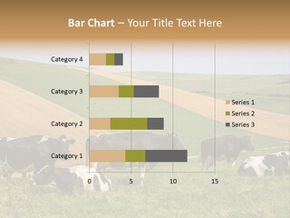 A Herd Of Cattle Grazing On A Lush Green Hillside PowerPoint Template