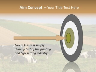 A Herd Of Cattle Grazing On A Lush Green Hillside PowerPoint Template
