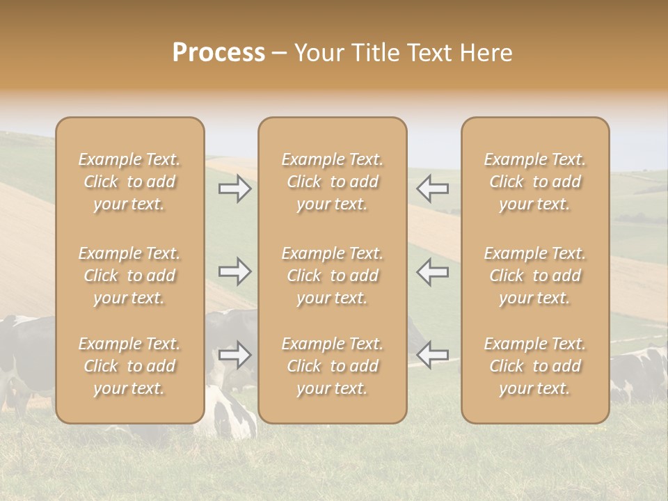 A Herd Of Cattle Grazing On A Lush Green Hillside PowerPoint Template