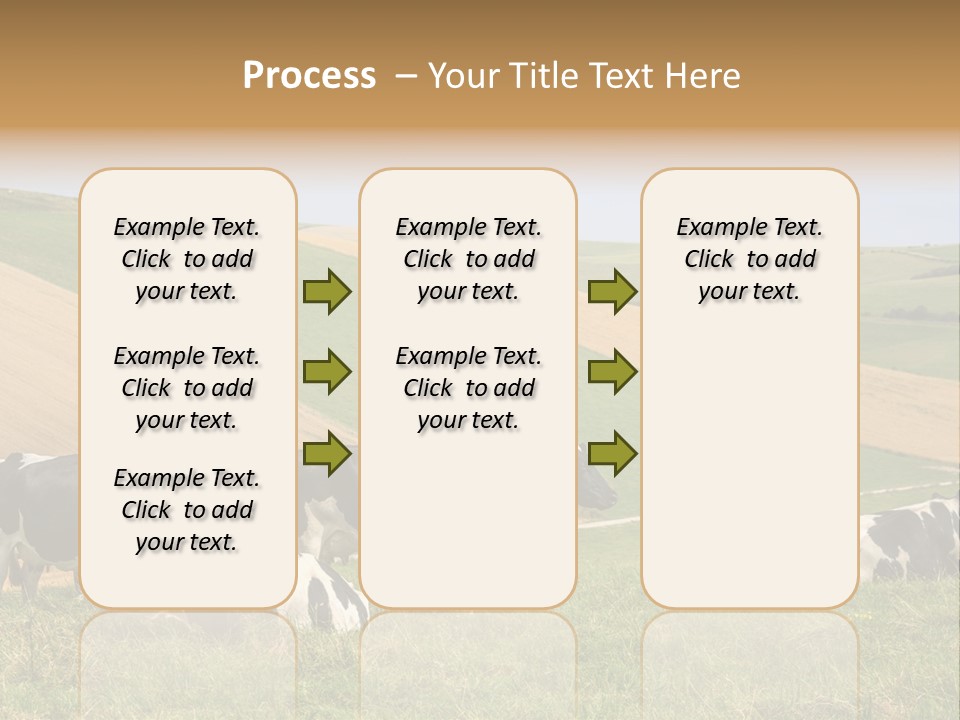 A Herd Of Cattle Grazing On A Lush Green Hillside PowerPoint Template