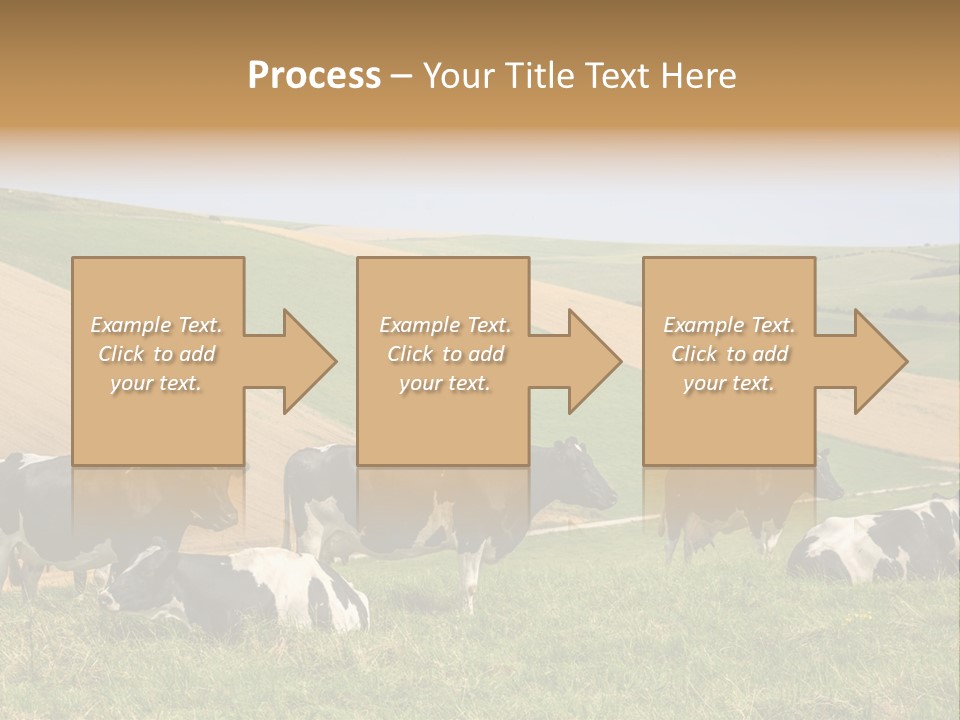 A Herd Of Cattle Grazing On A Lush Green Hillside PowerPoint Template
