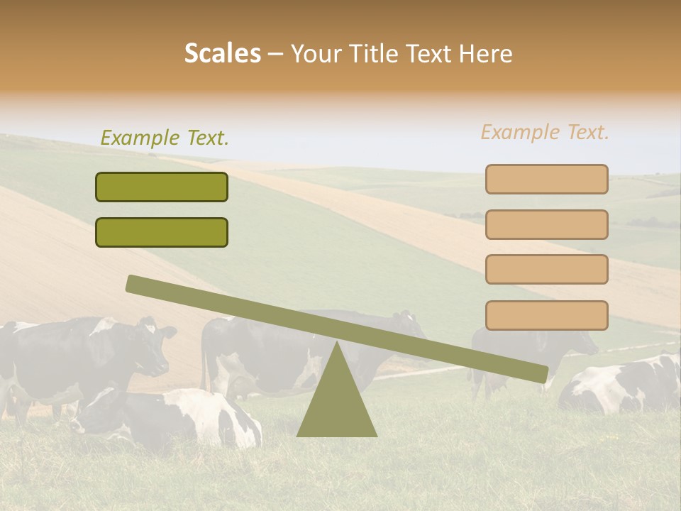 A Herd Of Cattle Grazing On A Lush Green Hillside PowerPoint Template