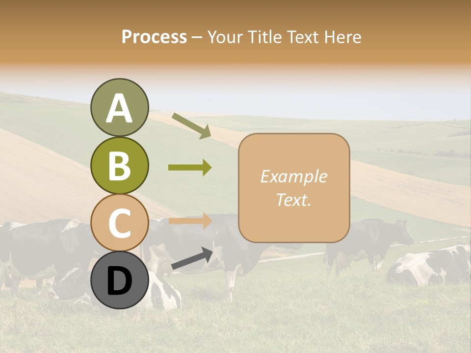 A Herd Of Cattle Grazing On A Lush Green Hillside PowerPoint Template