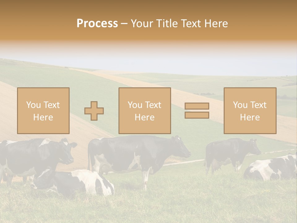 A Herd Of Cattle Grazing On A Lush Green Hillside PowerPoint Template