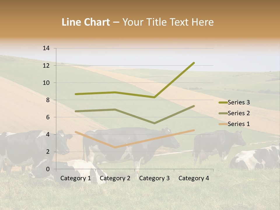 A Herd Of Cattle Grazing On A Lush Green Hillside PowerPoint Template