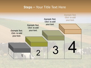 A Herd Of Cattle Grazing On A Lush Green Hillside PowerPoint Template