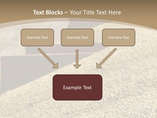 A Large Pile Of Grain Sitting On Top Of A Field PowerPoint Template