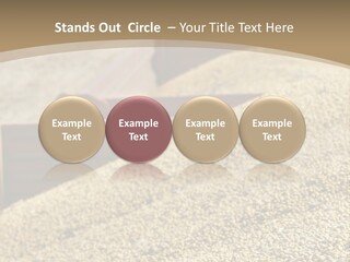 A Large Pile Of Grain Sitting On Top Of A Field PowerPoint Template