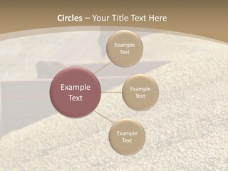 A Large Pile Of Grain Sitting On Top Of A Field PowerPoint Template