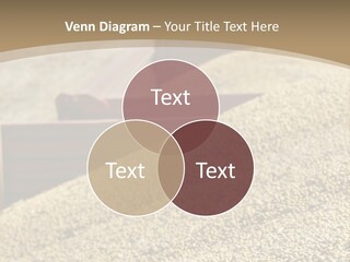 A Large Pile Of Grain Sitting On Top Of A Field PowerPoint Template